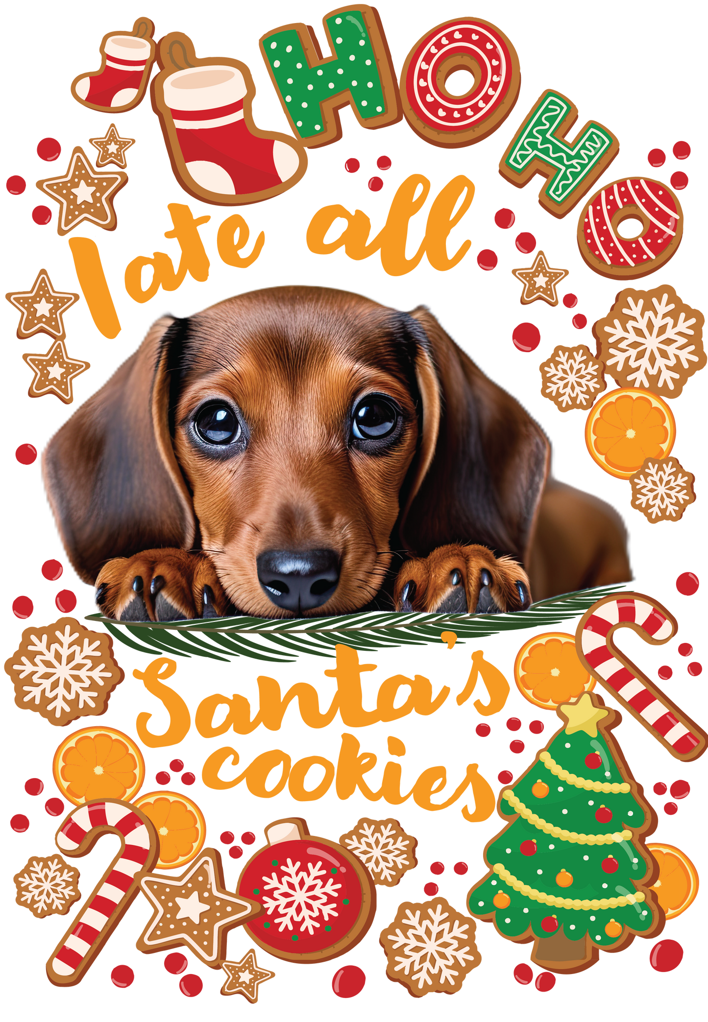 Santas Cookies are goon - I ate all