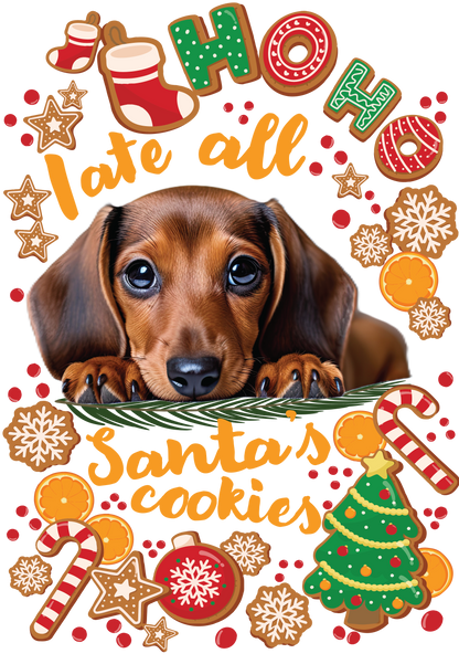 Santas Cookies are goon - I ate all