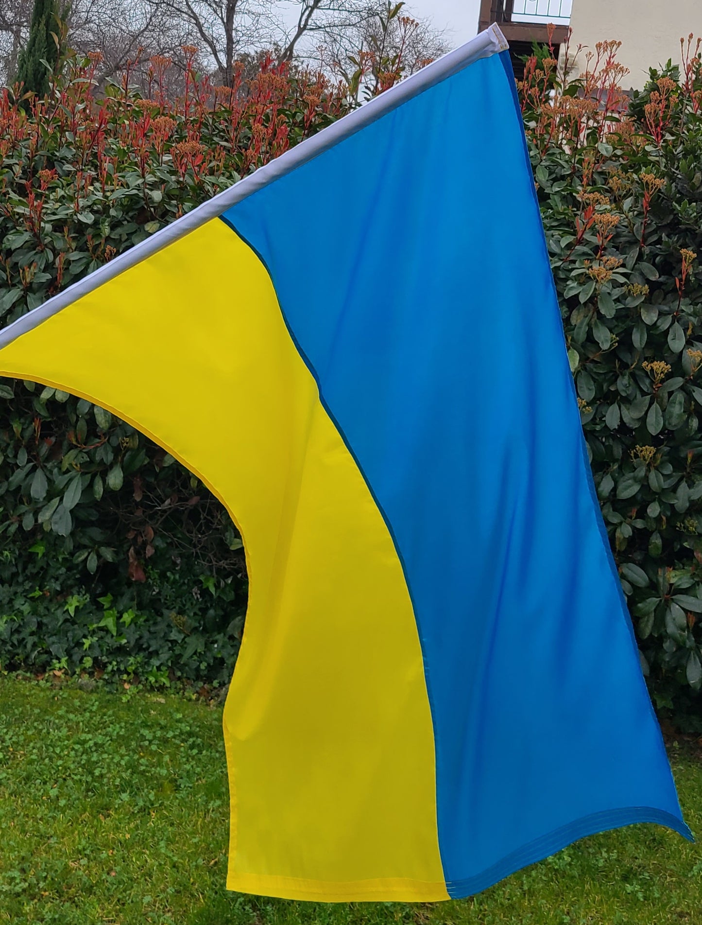 Ukrainian Flag